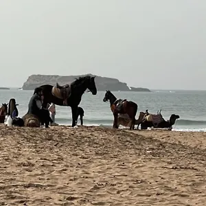 https://la-fantasia.essaouirahotels.net